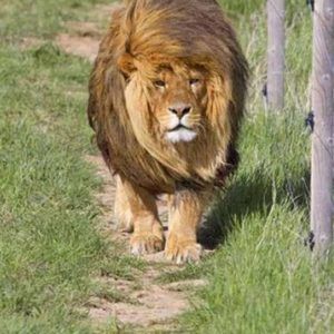 Meet your Posher, Lynne